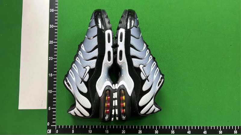  TN  Batch  NIKE AIR MAX PLUS  -4